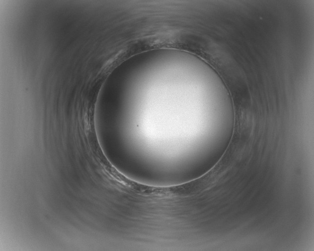 X0000081601250200701221127