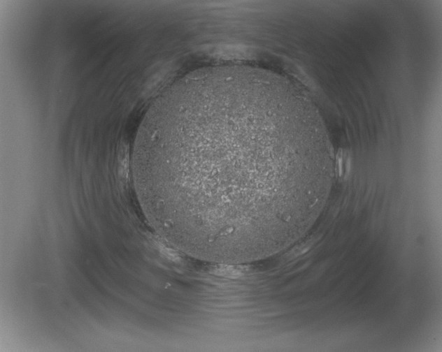 X0000081601251200701221127