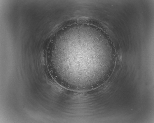 X0000081601252200701221127