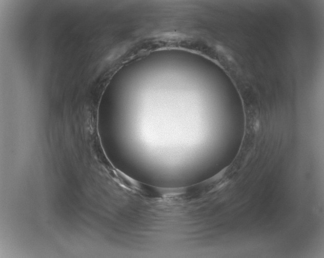 X0000081601253200701221127