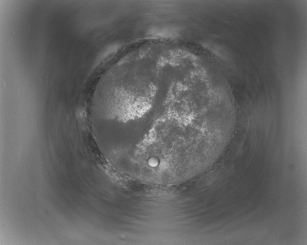 X0000081601254200701221127