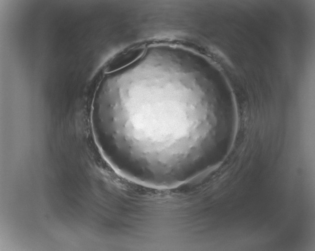 X0000081601256200701221127