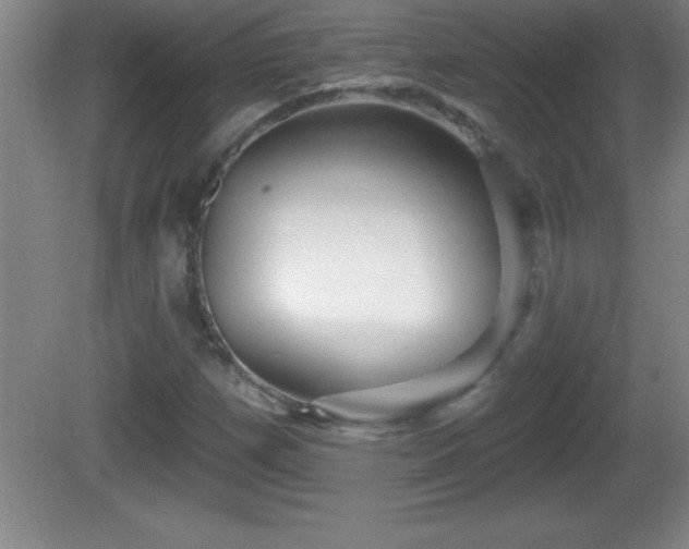 X0000081601257200701221127