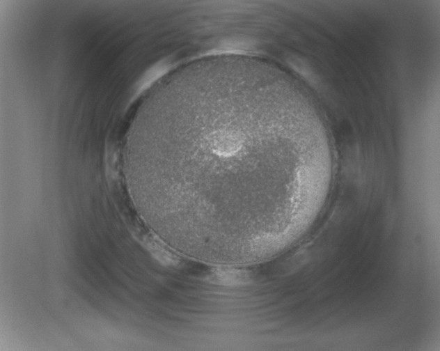 X0000081601258200701221127