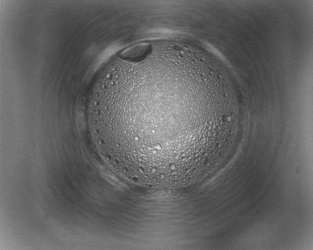 X0000081601259200701221127