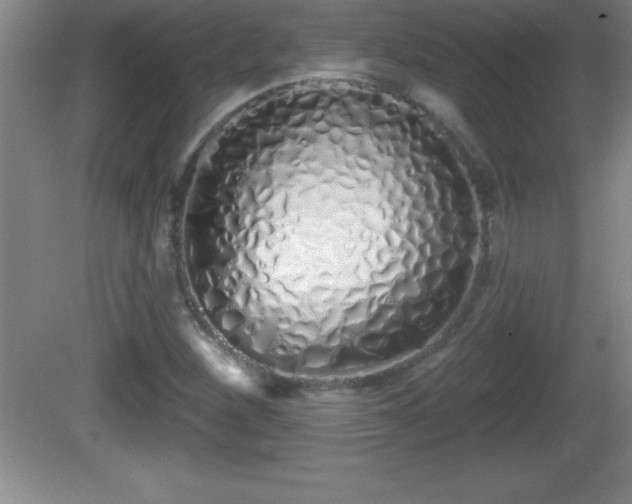 X0000081601260200701221127