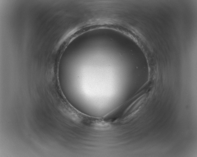 X0000081601261200701221127