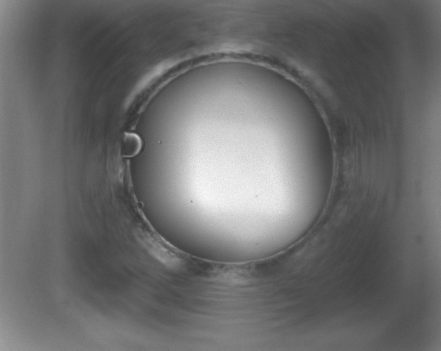 X0000081601262200701221127