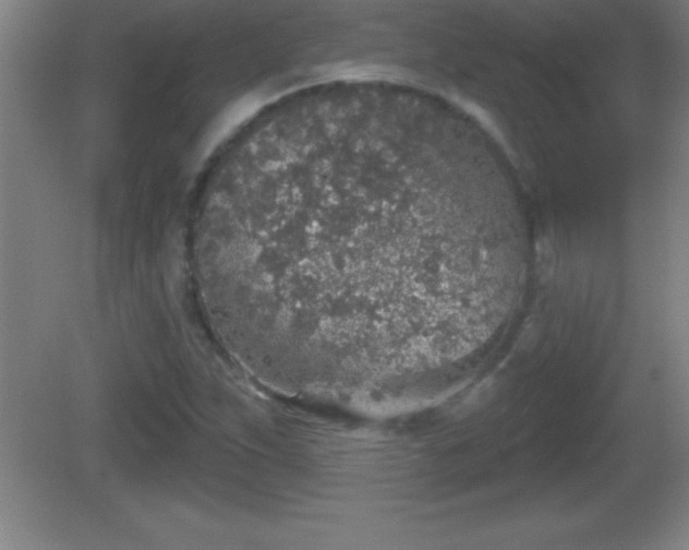 X0000081601263200701221127