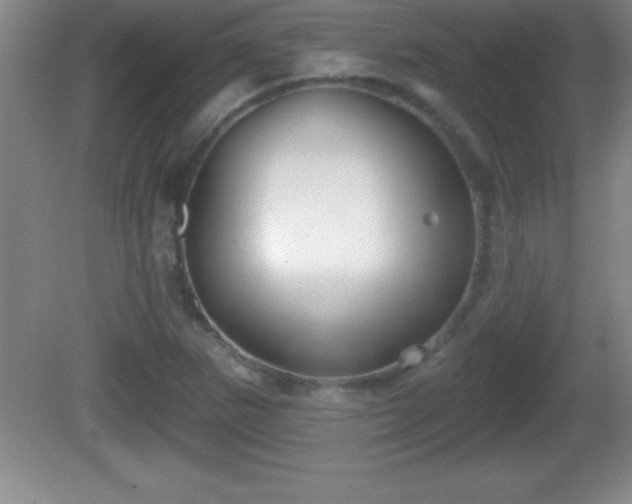 X0000081601265200701221127