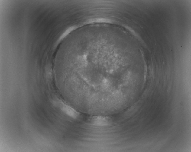 X0000081601266200701221127