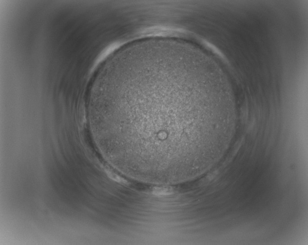 X0000081601267200701221127