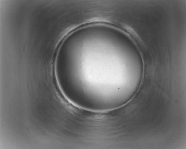 X0000081601268200701221127