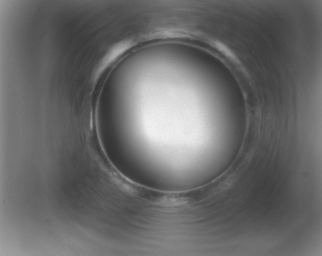 X0000081601269200701221127