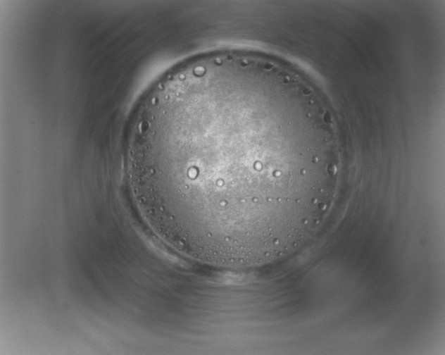 X0000081601271200701221127