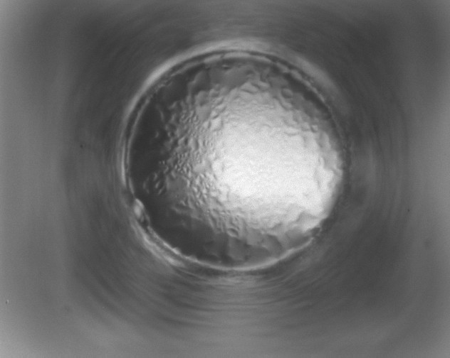 X0000081601272200701221127