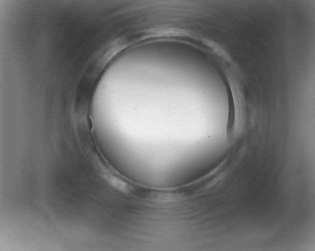 X0000081601273200701221127