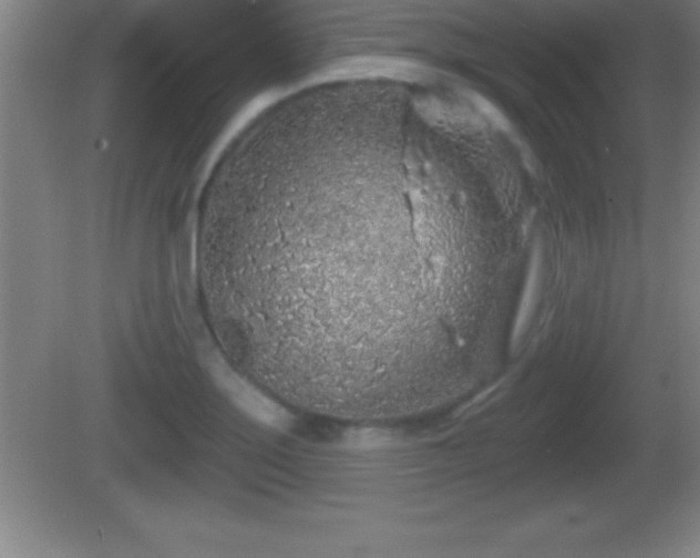 X0000081601275200701221127