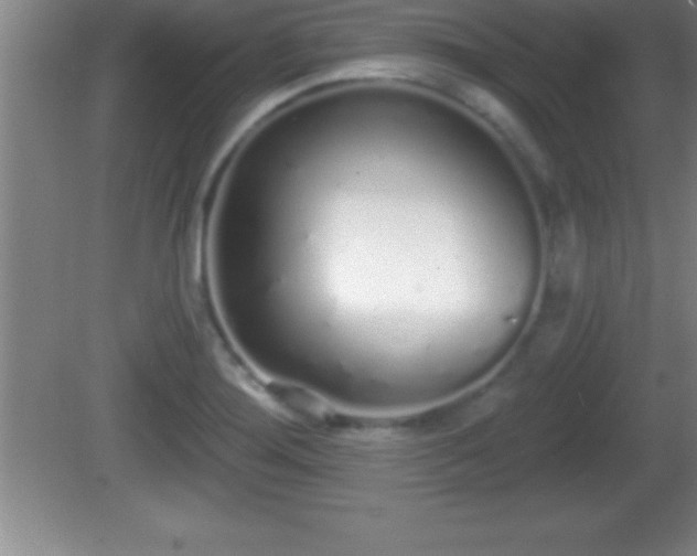 X0000081601276200701221127