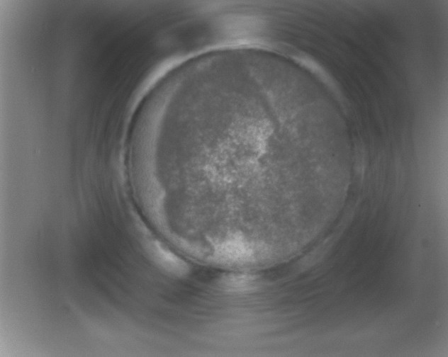 X0000081601278200701221127