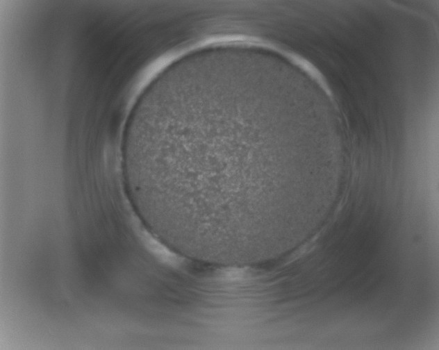 X0000081601279200701221127