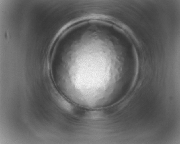 X0000081601280200701221127