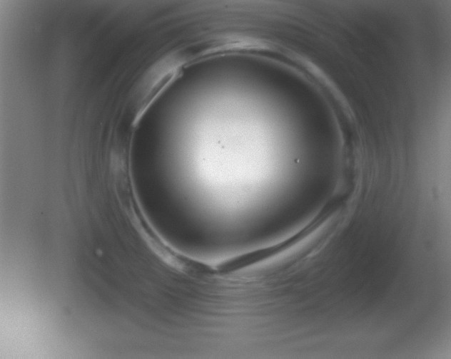 X0000081601281200701221127