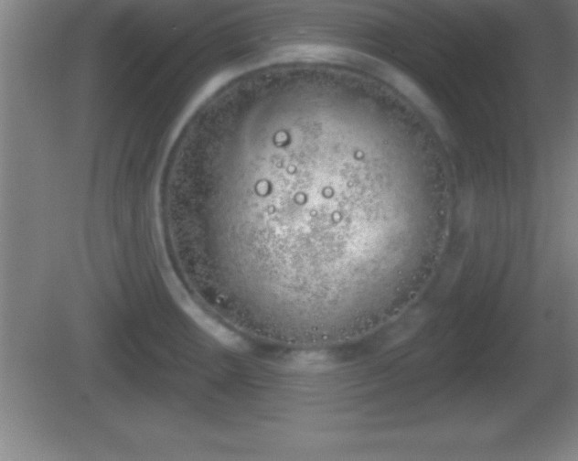 X0000081601283200701221127