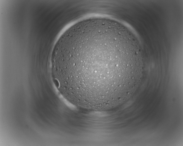 X0000081601287200701221127