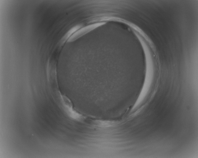 X0000081601289200701221127