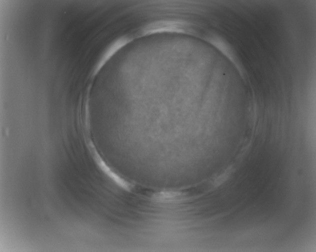 X0000081601290200701221127