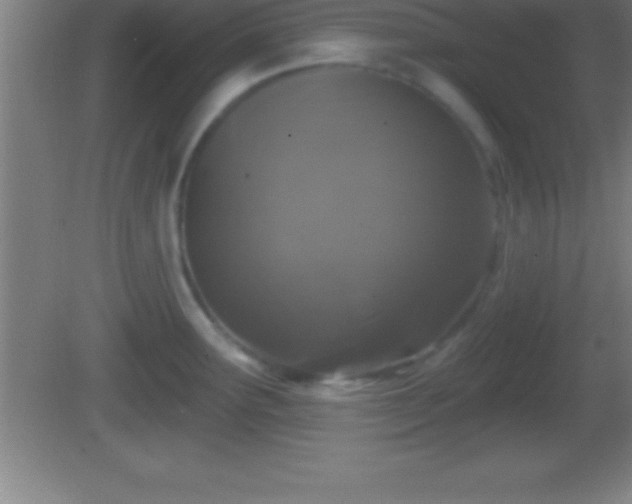 X0000081601291200701221127