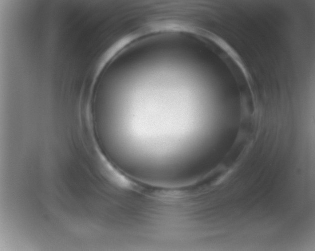 X0000081601293200701221127