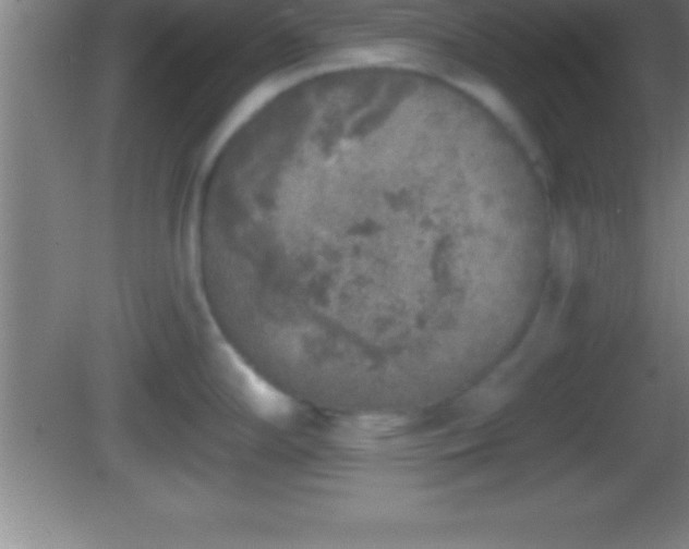 X0000081601294200701221127