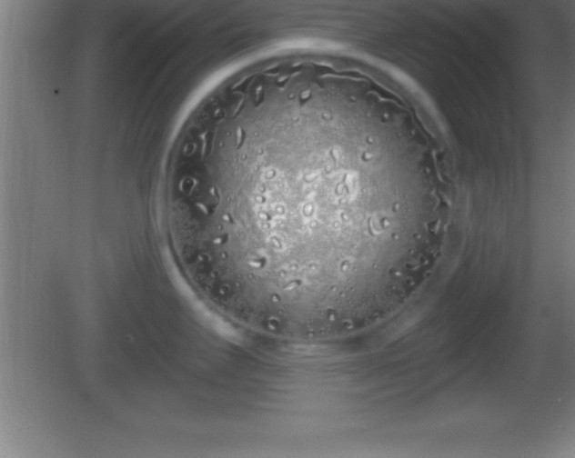 X0000081601295200701221127