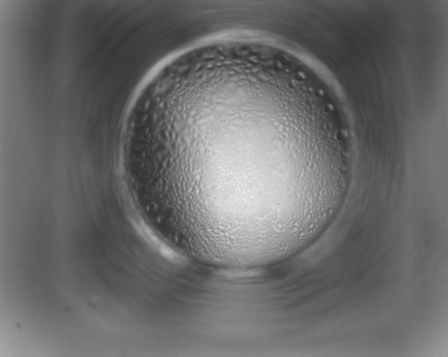 X0000081601296200701221127