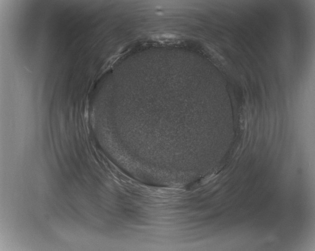 X0000081601298200701221126