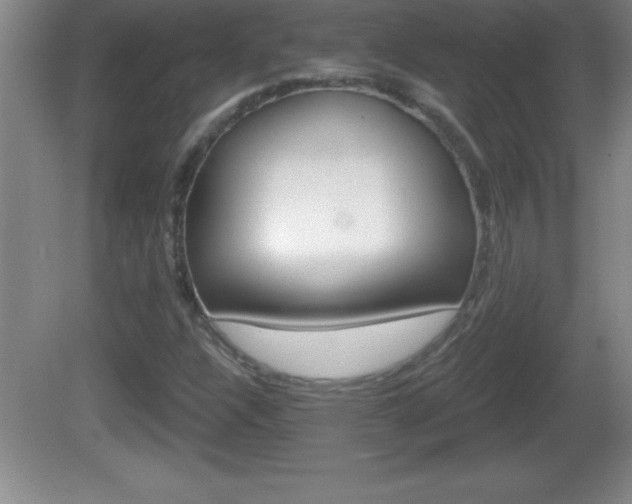 X0000081601304200701221126