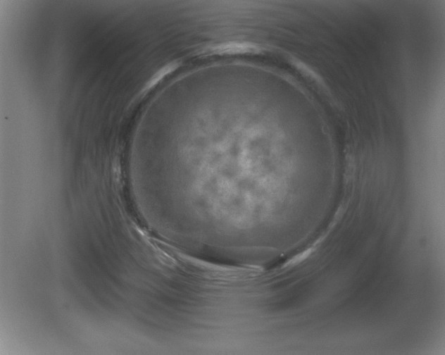 X0000081601305200701221126