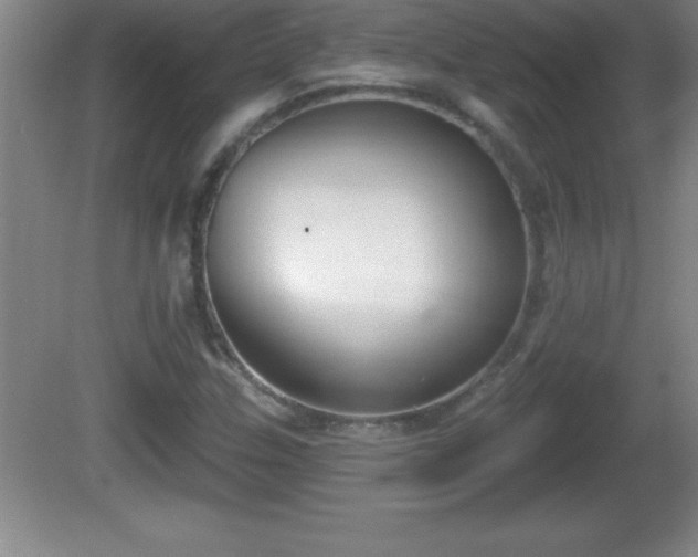 X0000081601307200701221126