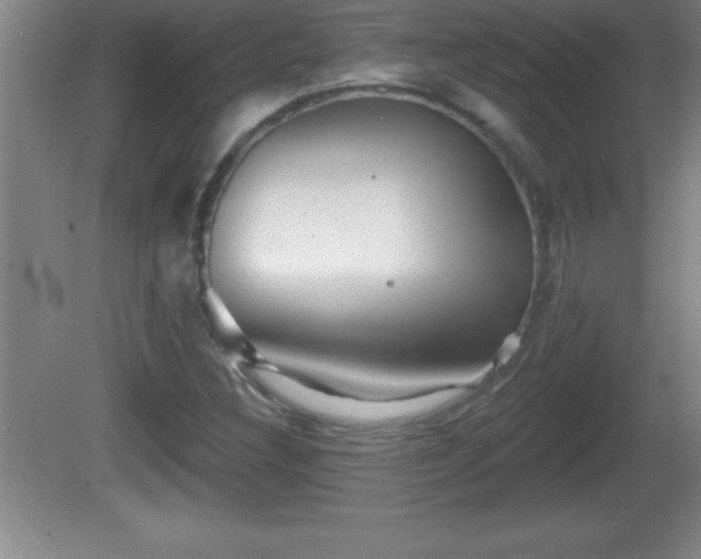 X0000081601308200701221126