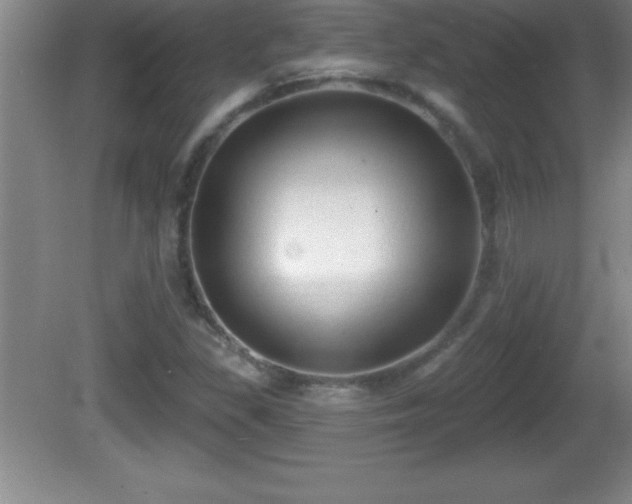 X0000081601309200701221126