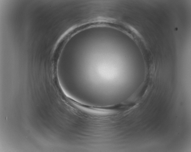 X0000081601310200701221126