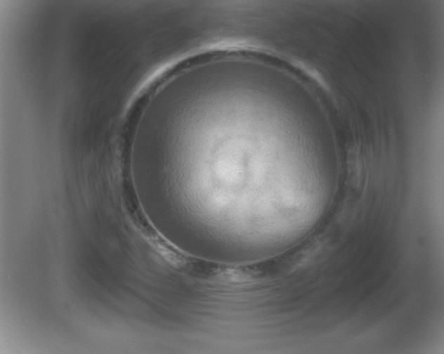 X0000081601311200701221126