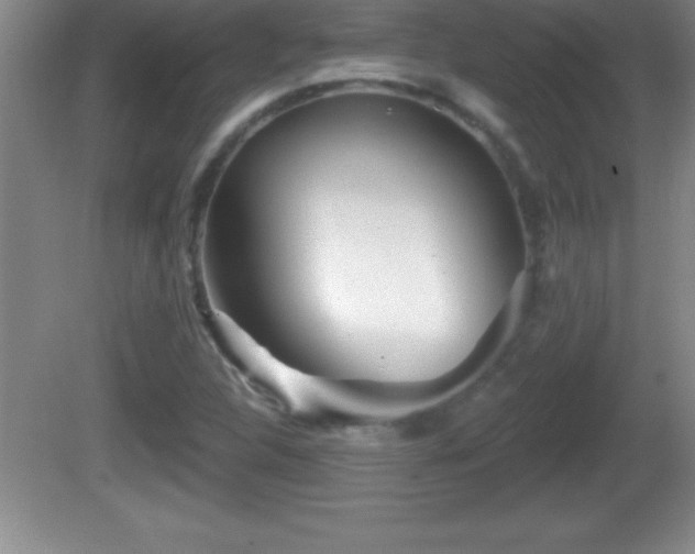 X0000081601312200701221126