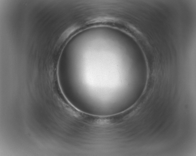 X0000081601313200701221126