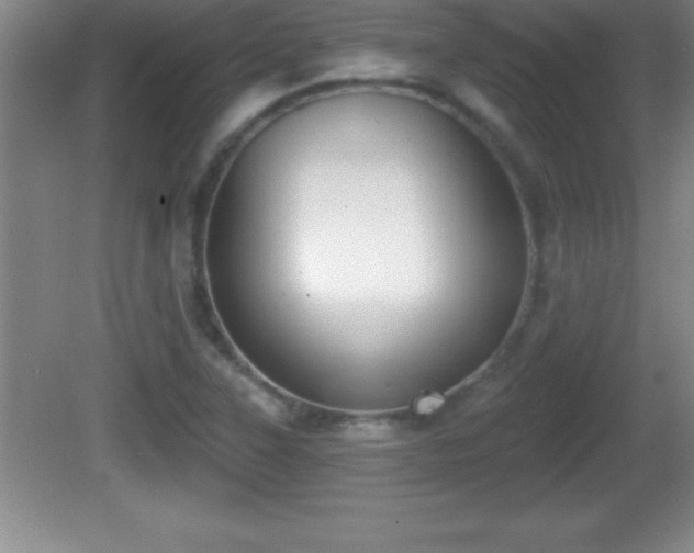 X0000081601315200701221126