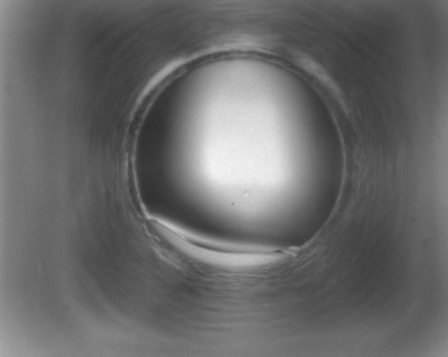 X0000081601316200701221126