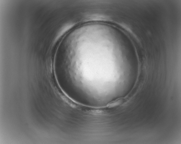 X0000081601317200701221126