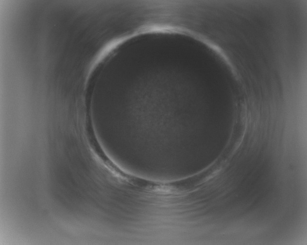 X0000081601319200701221126